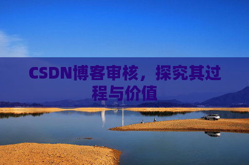 CSDN博客审核,探究其过程与价值
